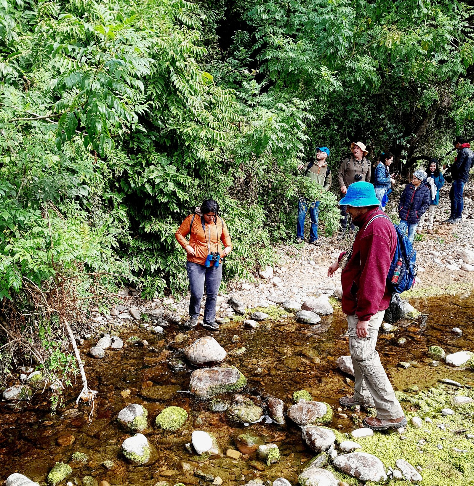 Paseos en la Naturaleza .. agregar esta imágen